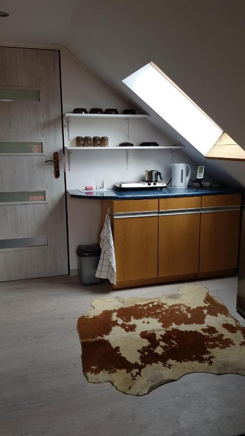 Turystyczny Apartament Na Poddaszu Скочув Экстерьер фото